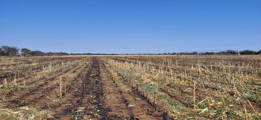 Commercial Property for Sale in Barkly West Rural Northern Cape